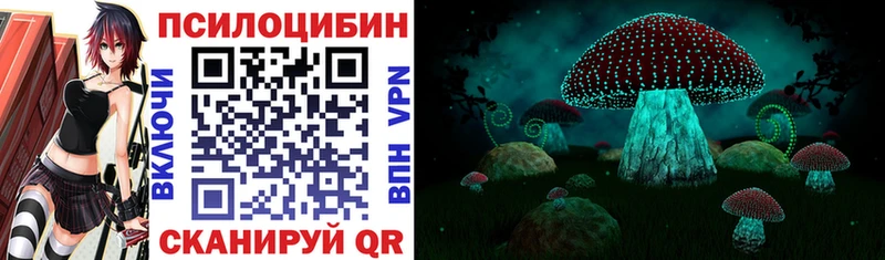Псилоцибиновые грибы Cubensis  kraken рабочий сайт  Воронеж 